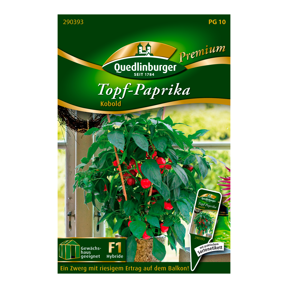 Topf-Paprika "Kobold" 5 Stück + product picture