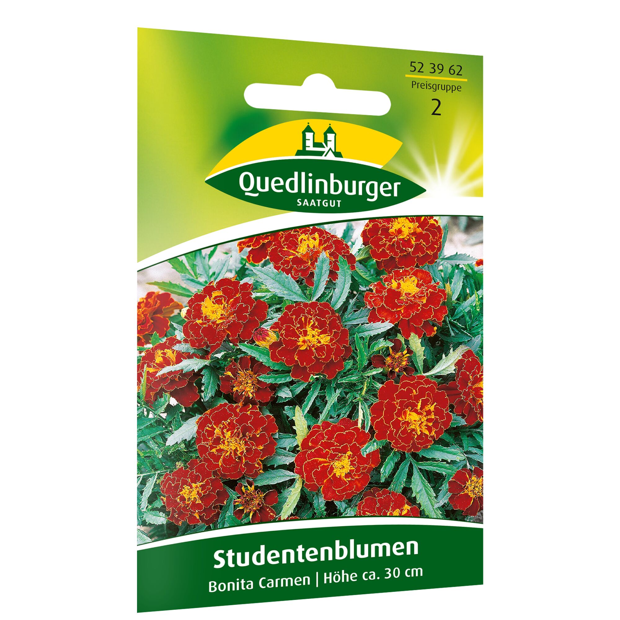 Studentenblumen Bonita Carmen rot-gelb, Höhe ca. 30 cm