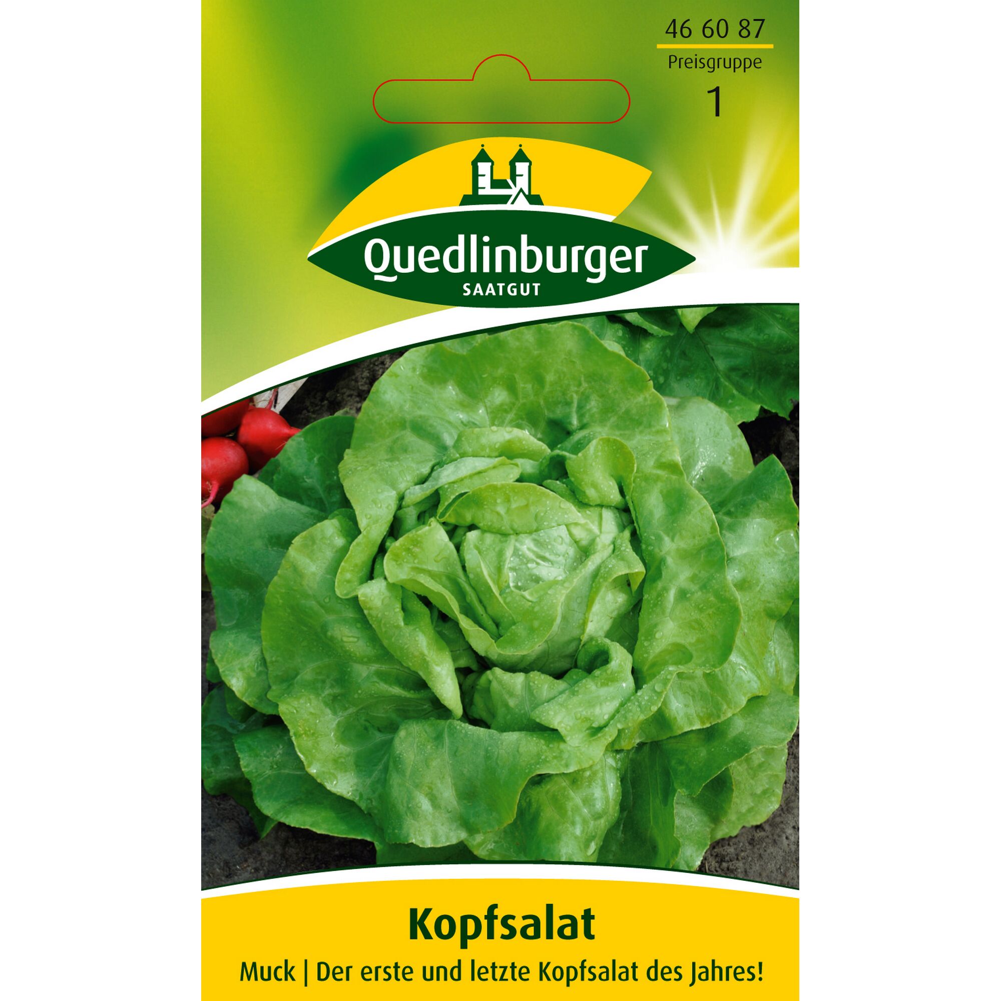 Kopfsalat Muck von Quedlinburger Saatgut