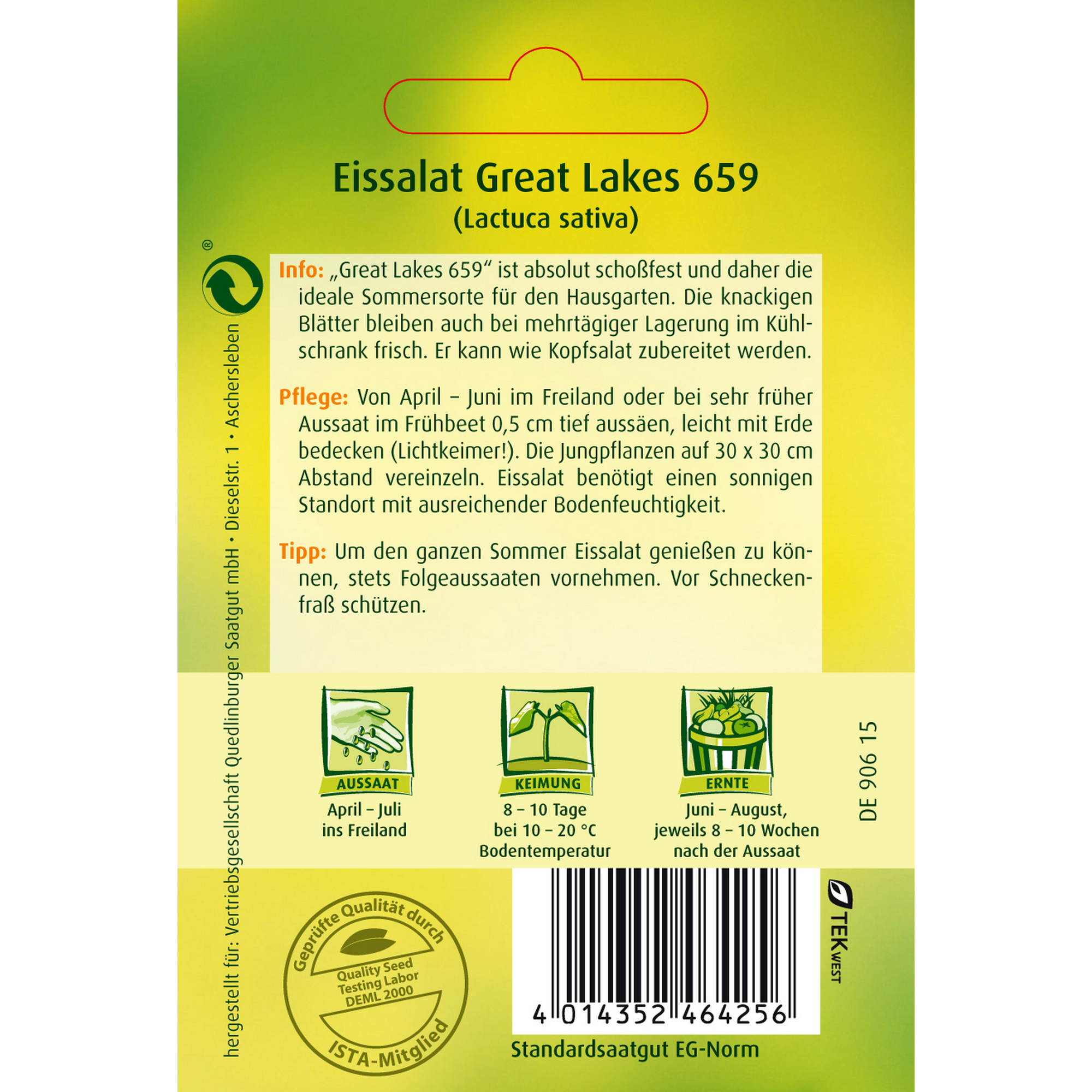 Eissalat 'Great Lakes 659' + product picture