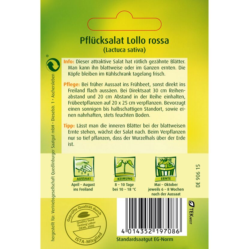 Pflücksalat Lollo Rossa auf einer Saattüte