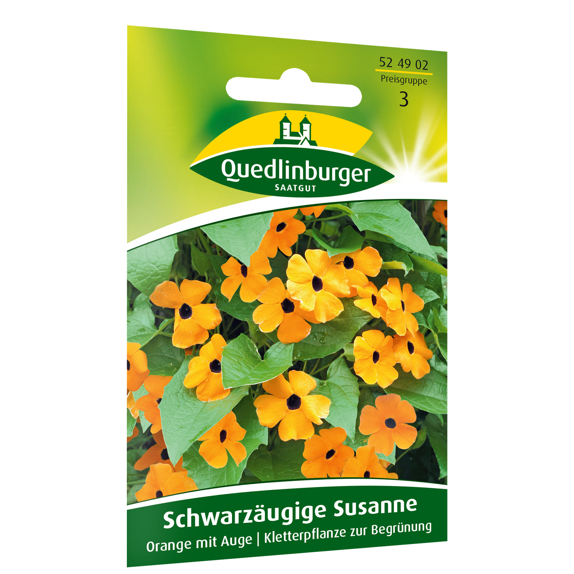 Schwarzäugige Susanne orange + product picture