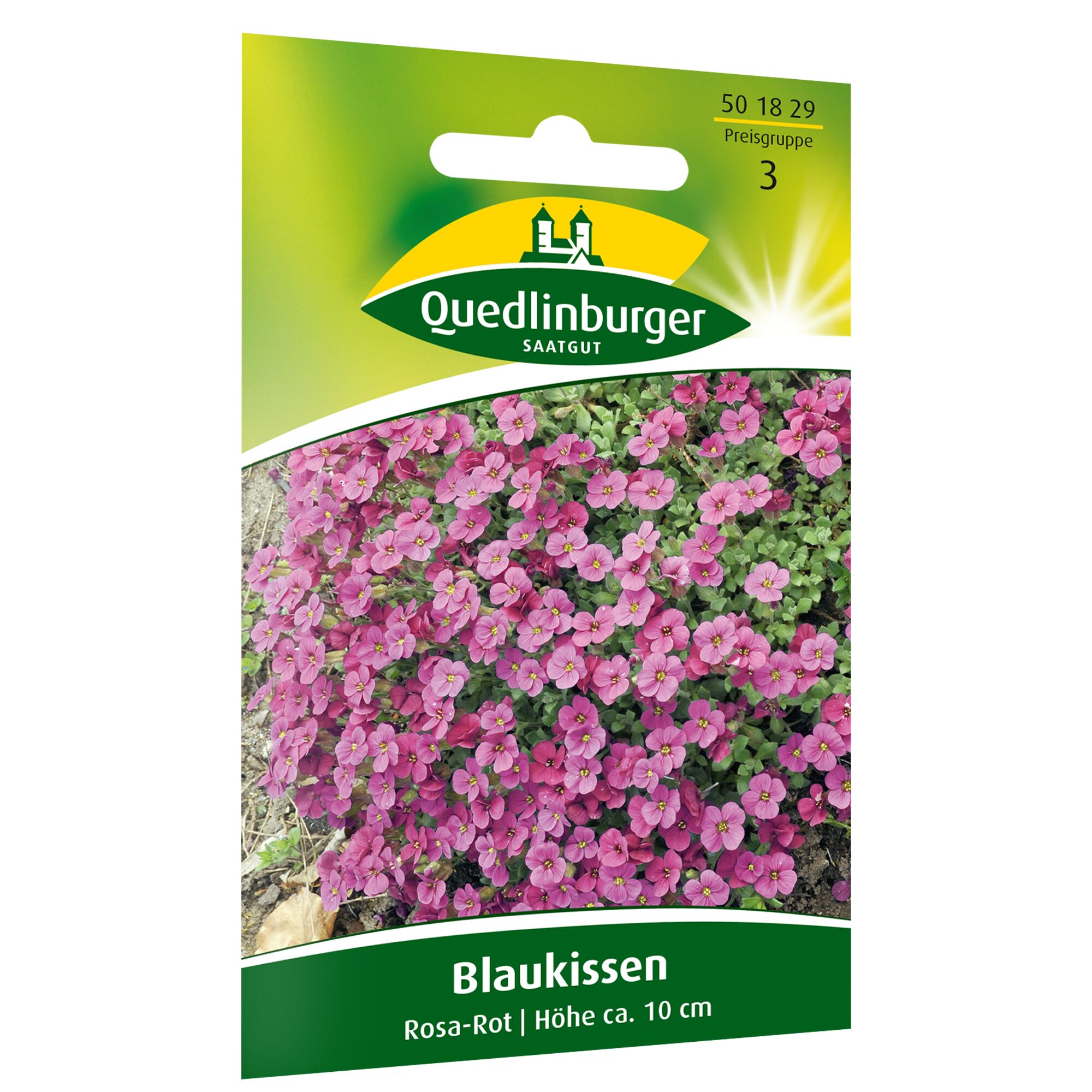 Samenpackung Blaukissen Rosa-Rot von Quedlinburger