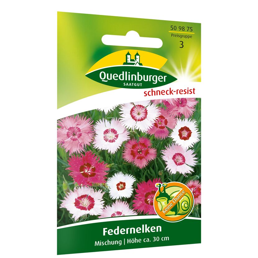 Federnelken Mischung