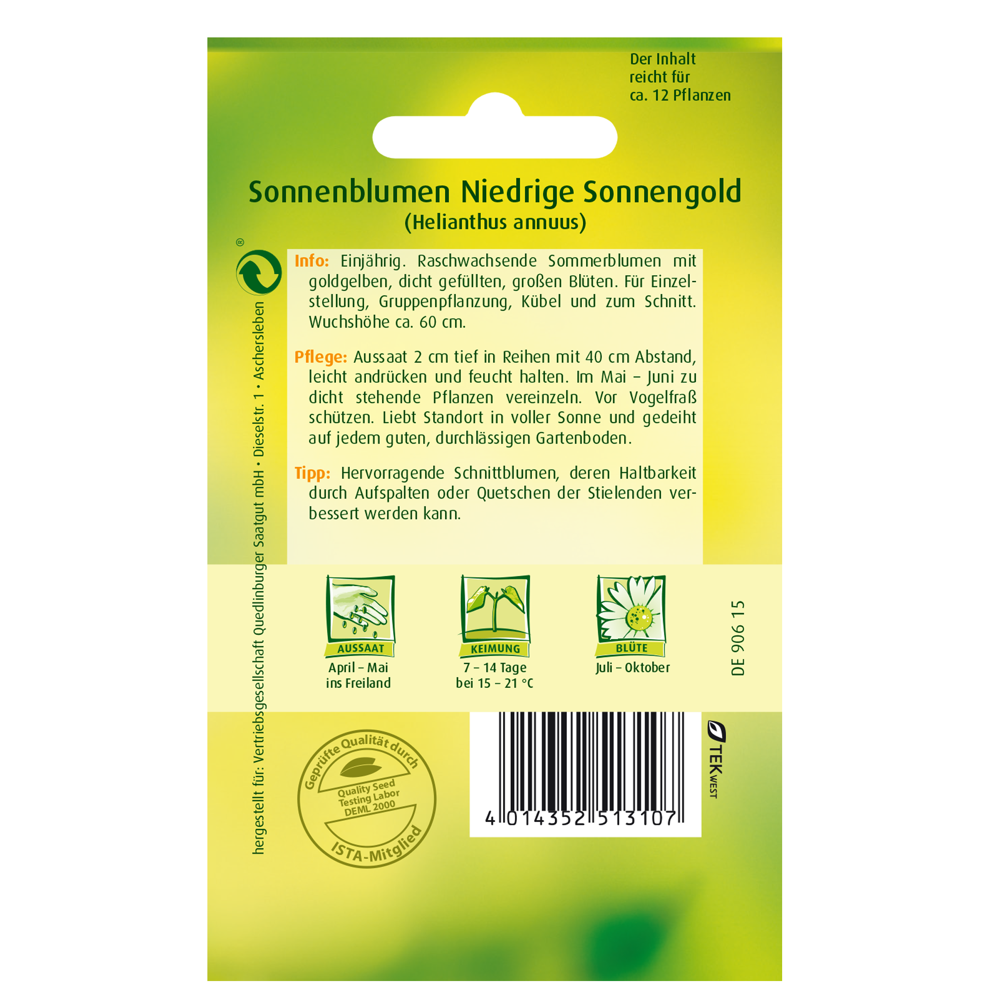 Sonnenblumen 'Niedrige Sonnengold' + product picture