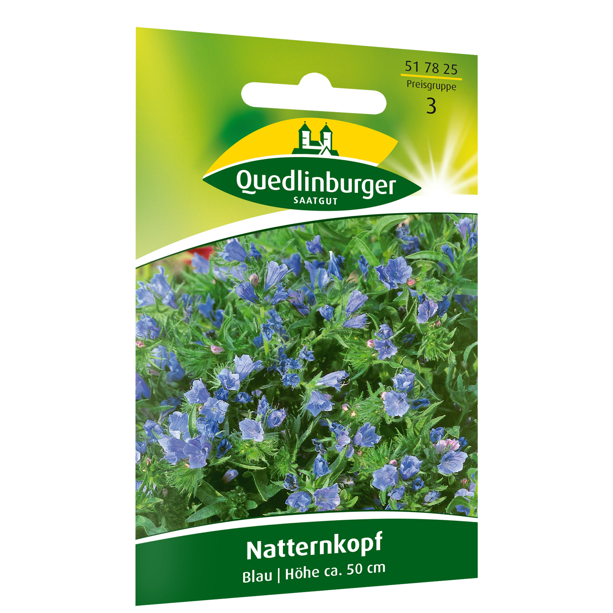 Natternkopf blau + product picture