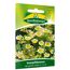 Sumpfblume 'Spiegeleier'