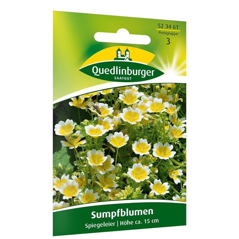 Sumpfblume 'Spiegeleier'