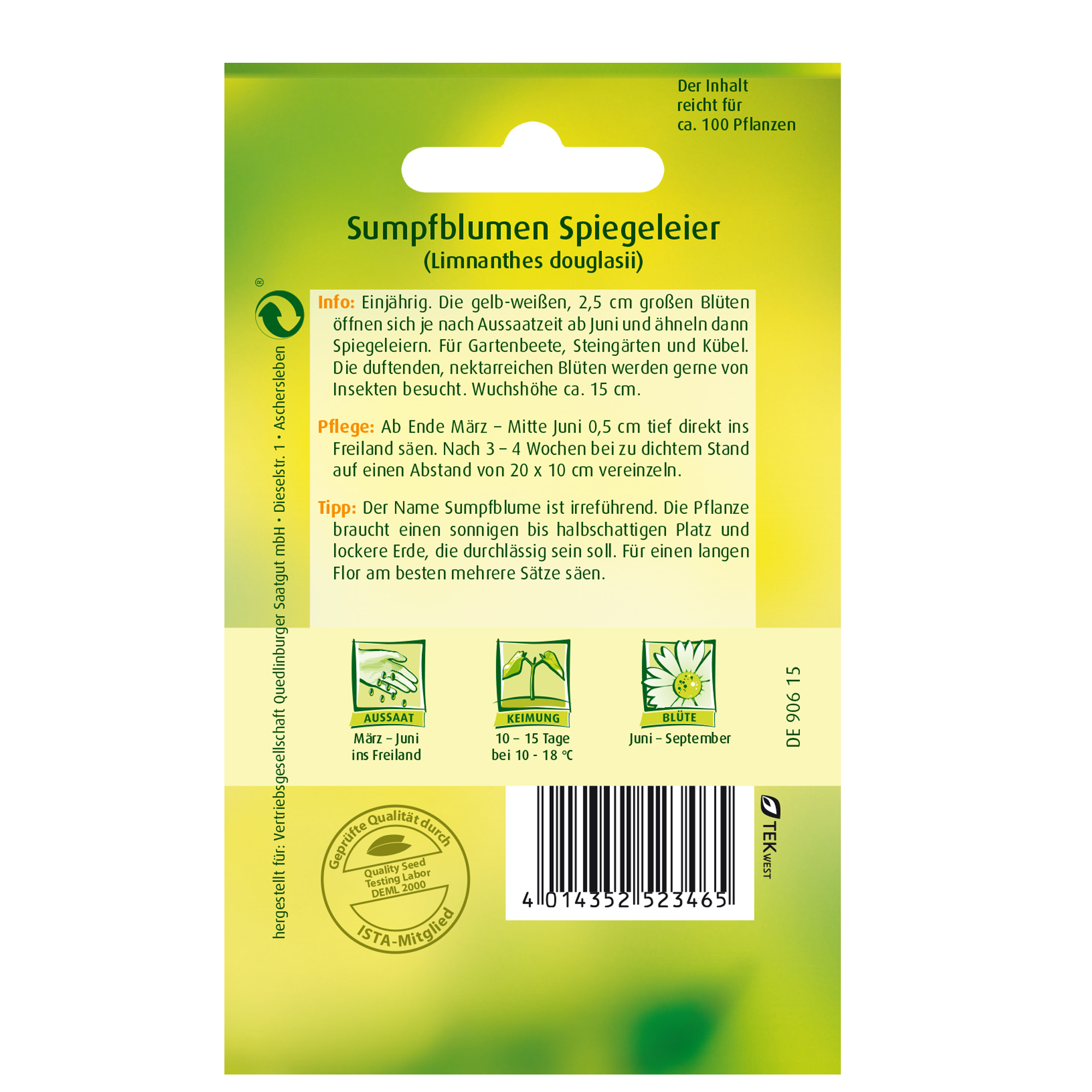 Sumpfblume 'Spiegeleier' + product picture