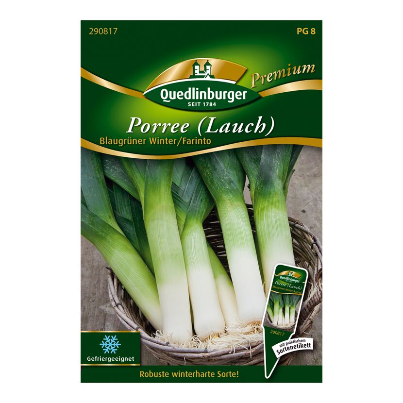 Porree, Sorte Blaugrüner Winter / Farinto