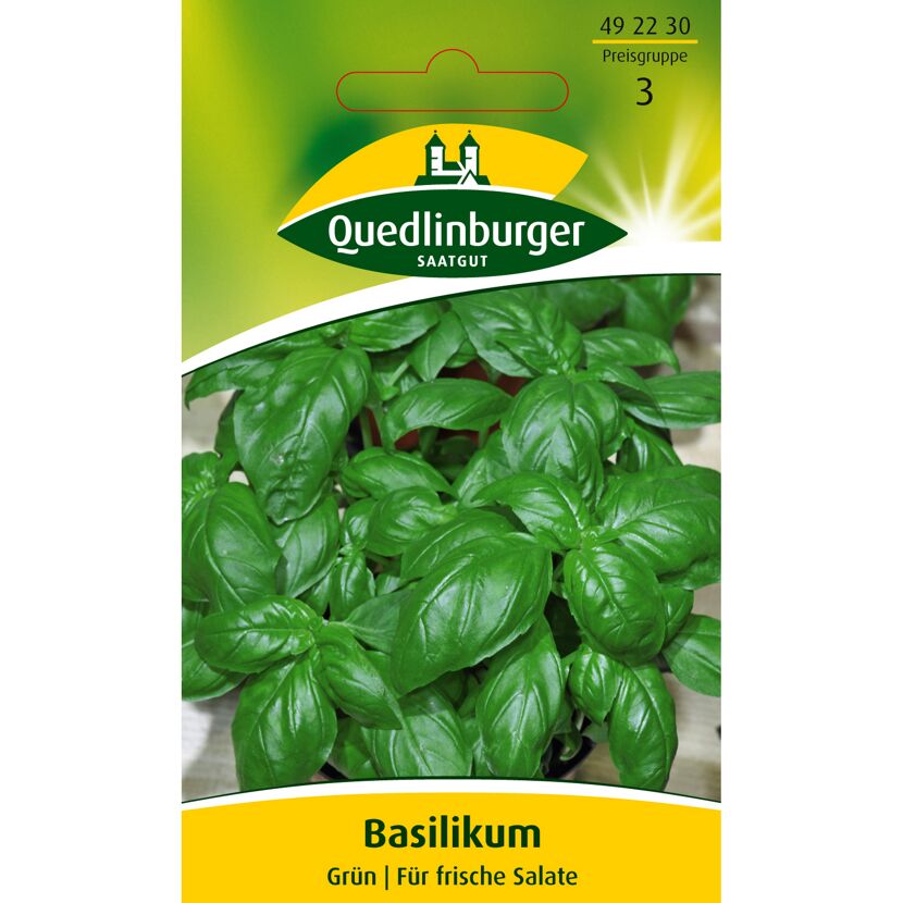 Basilikum, grün, für frische Salate
