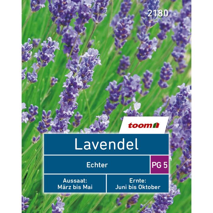 Toom Lavendel ǀ Toom Baumarkt