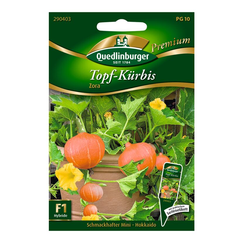 Topfkürbis "Zora" 8 Stück