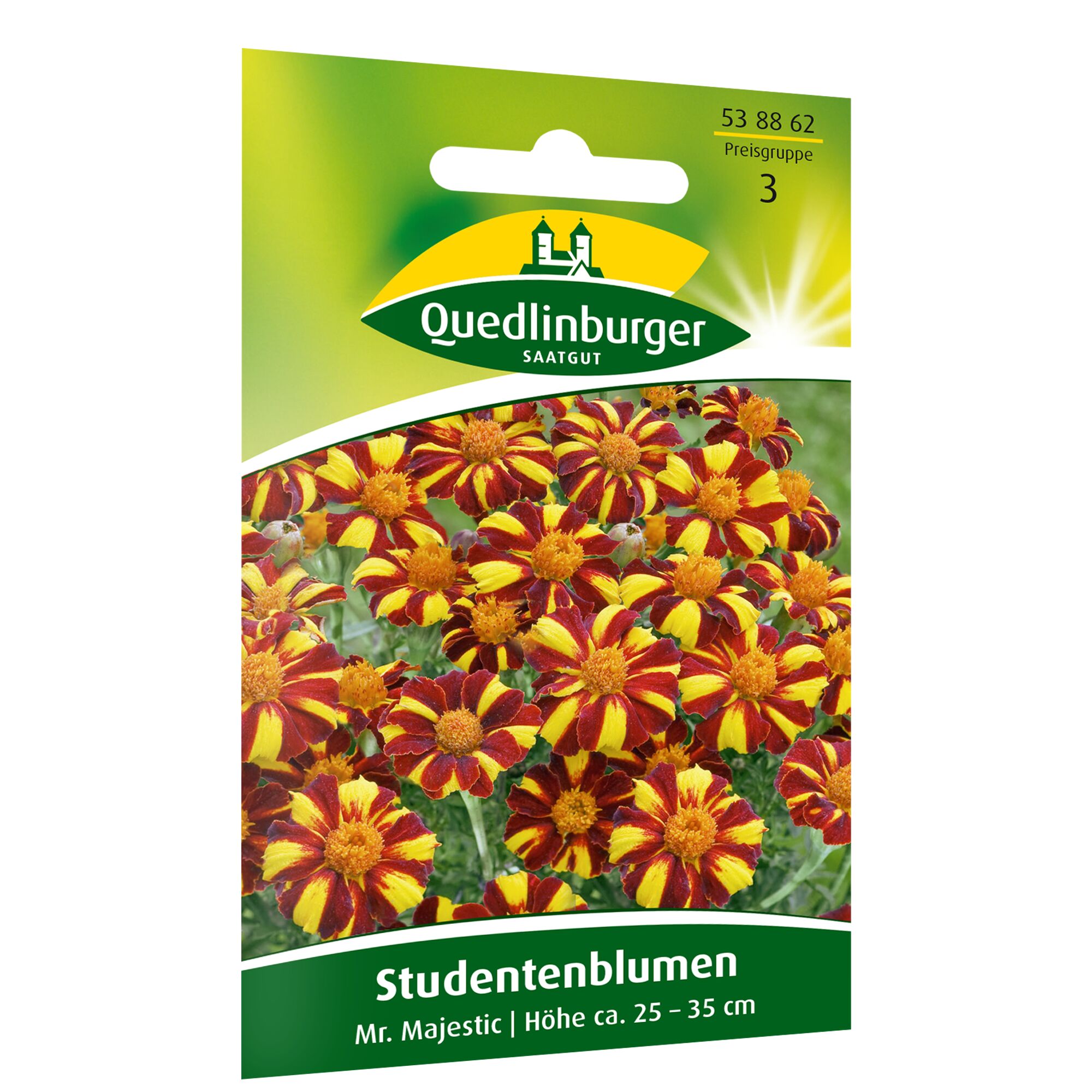 Studentenblumen Mr. Majestic