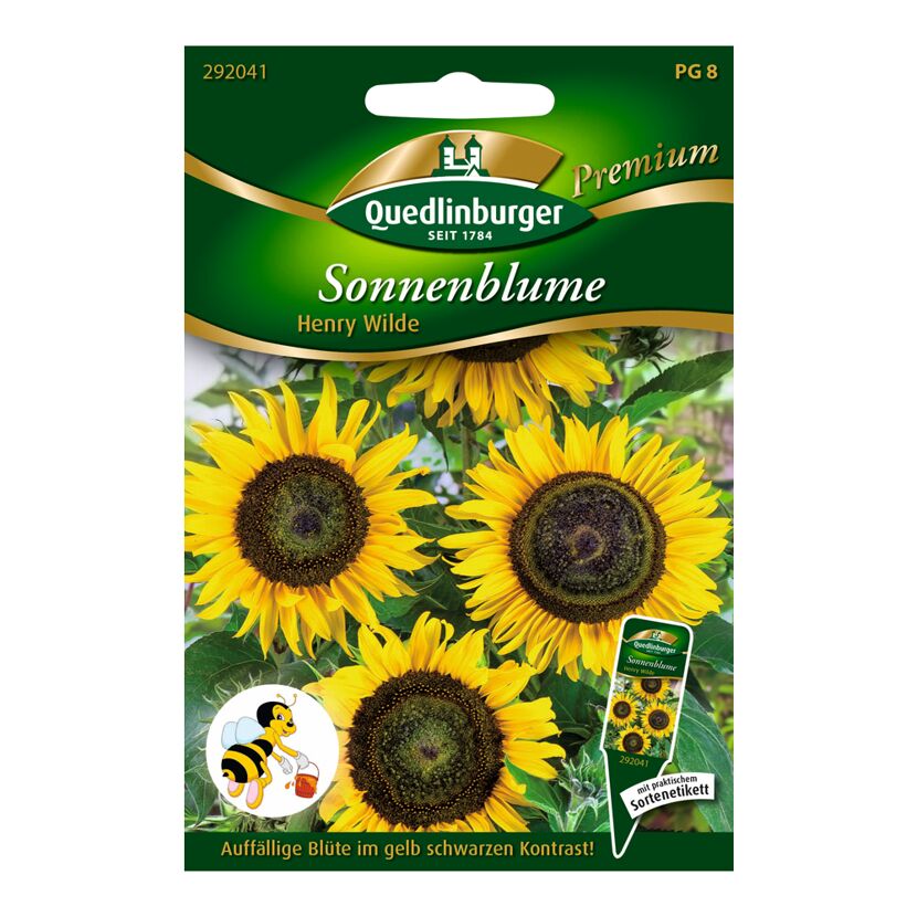 Sonnenblume "Henry Wilde" 20 Stück