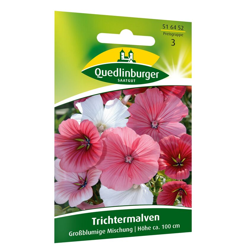 Trichtermalven großblumig, Mischung