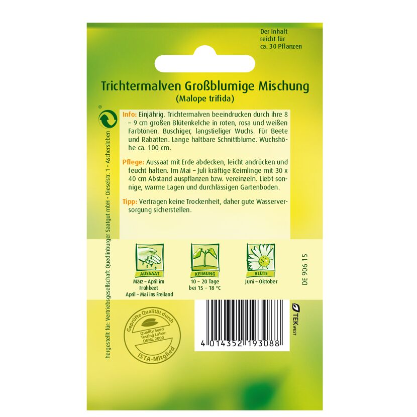 Trichtermalven großblumig, Mischung