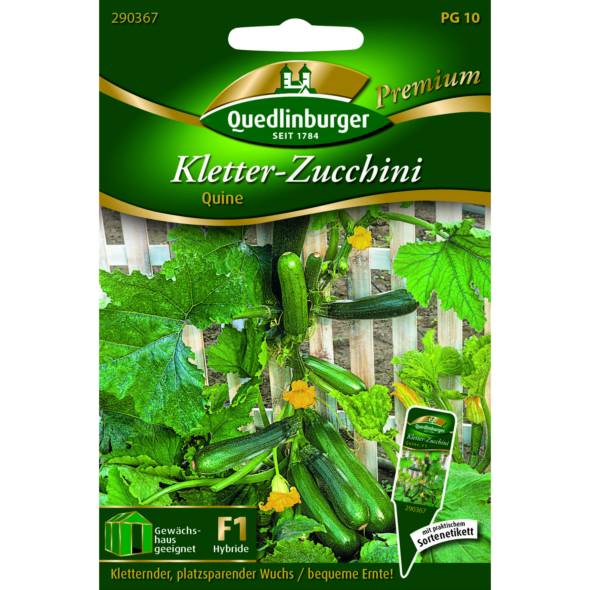 Premium Kletter-Zucchini 'Quine' + product picture