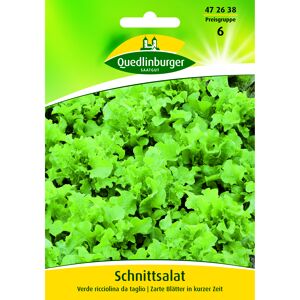 Schnittsalat 'verde ricciolina da taglio'