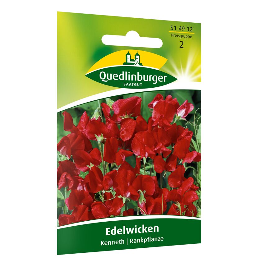 Edelwicken 'Kenneth'