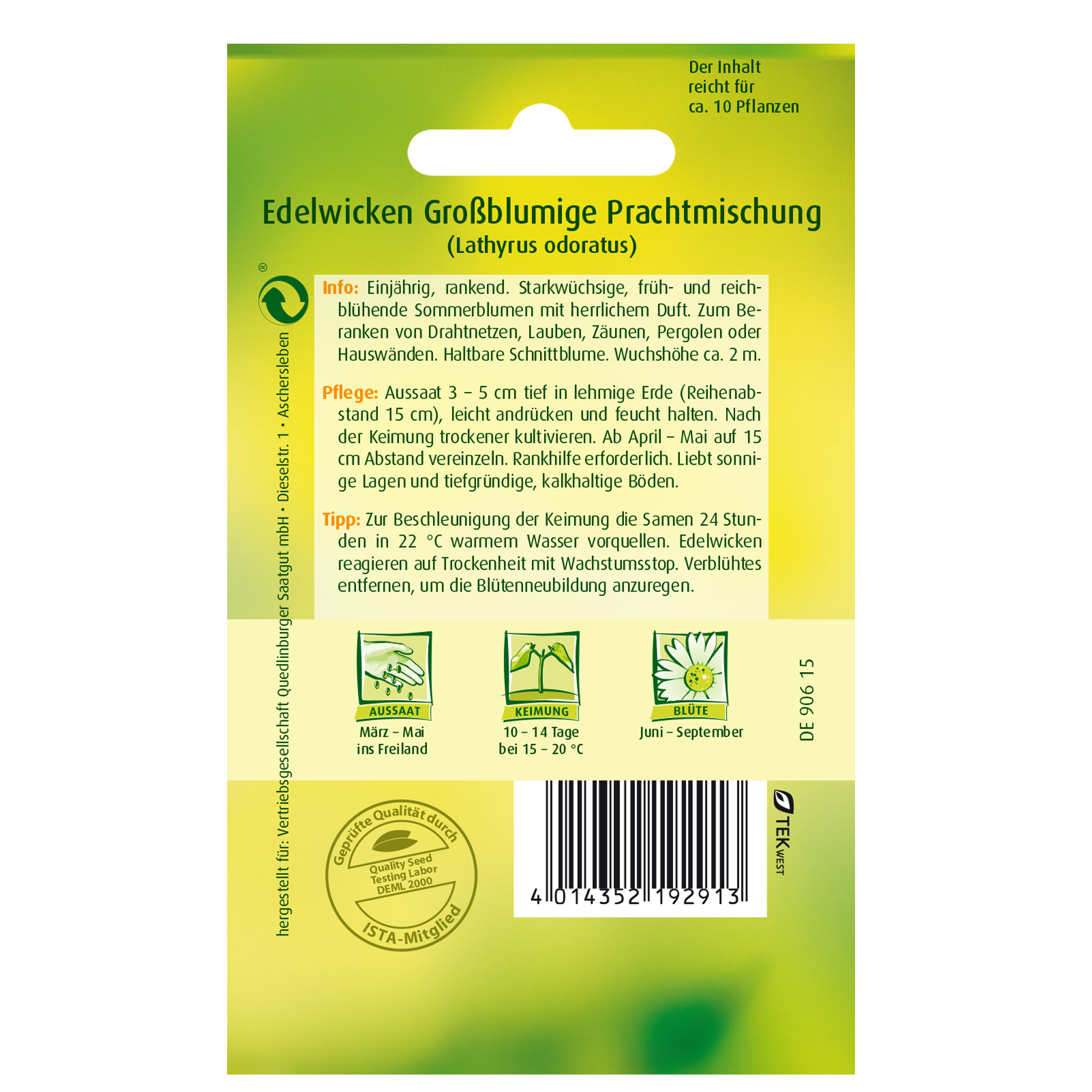 Edelwicken großblumig + product picture