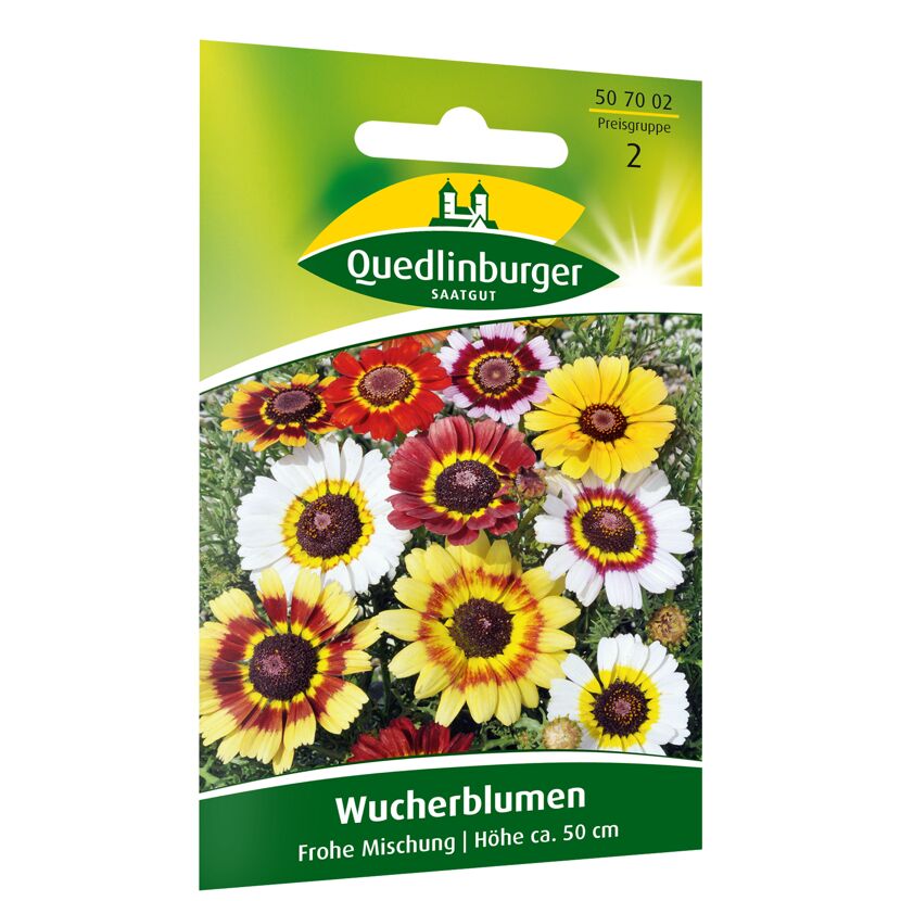 Wucherblumen 'Frohe Mischung'