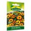 Wucherblumen German Flag