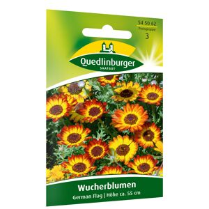 Wucherblumen 'German Flag'