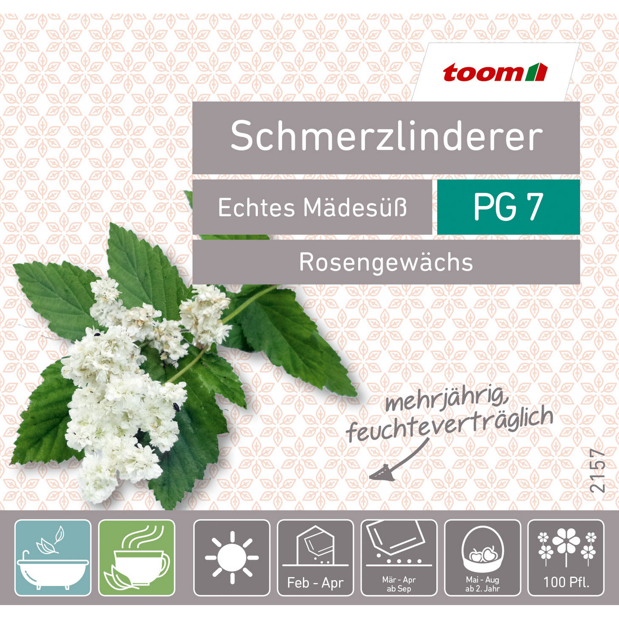 Pflanzen & Blumen online bestellen toom Baumarkt