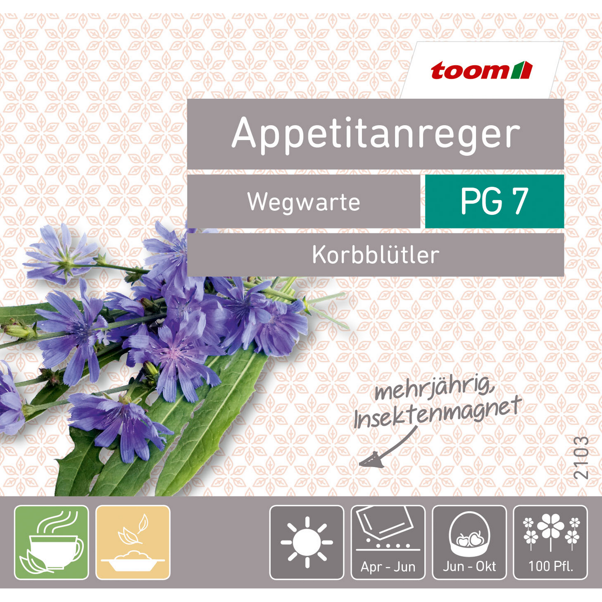 Pflanzen & Blumen online bestellen toom Baumarkt