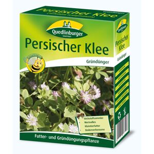 Persischer Klee Gründünger 500 g
