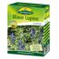Blaue Lupine Gründünger 500 g