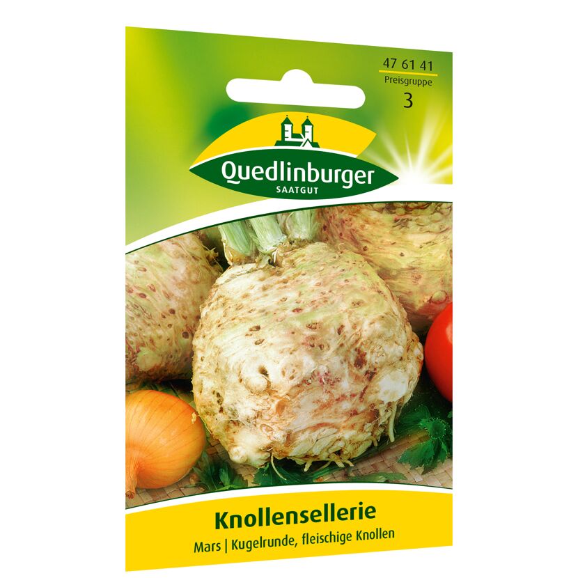 Knolliges Saatgut Knollen-Sellerie