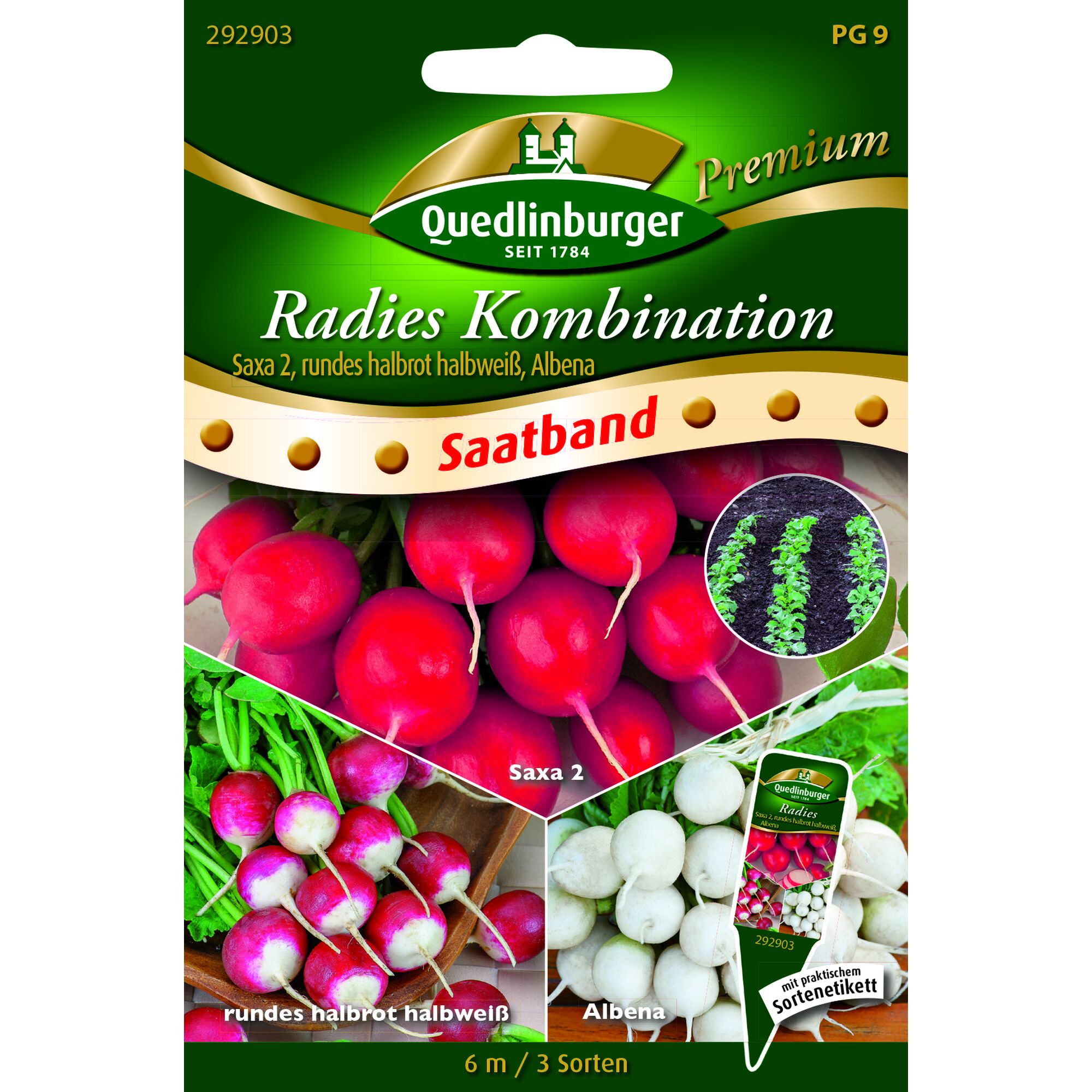 Drei Sorten Radieschen: Saxa 2, rundes halbrot halbweiß und Albena