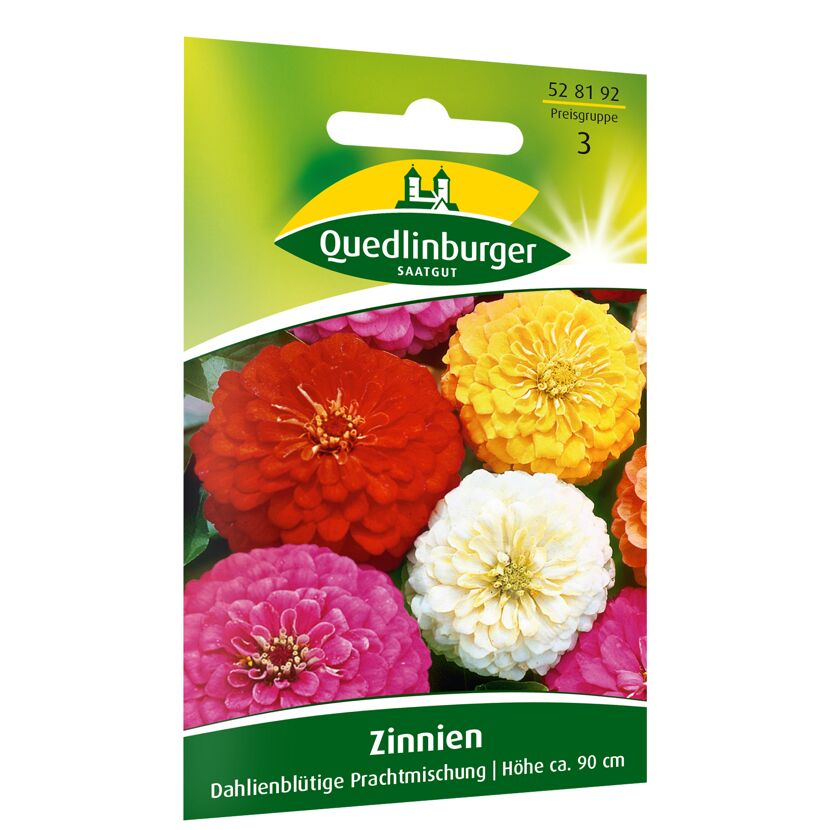 Zinnien 'Dahlienblütige Prachtmischung'
