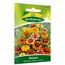 Zinnien 'Old Mexico'