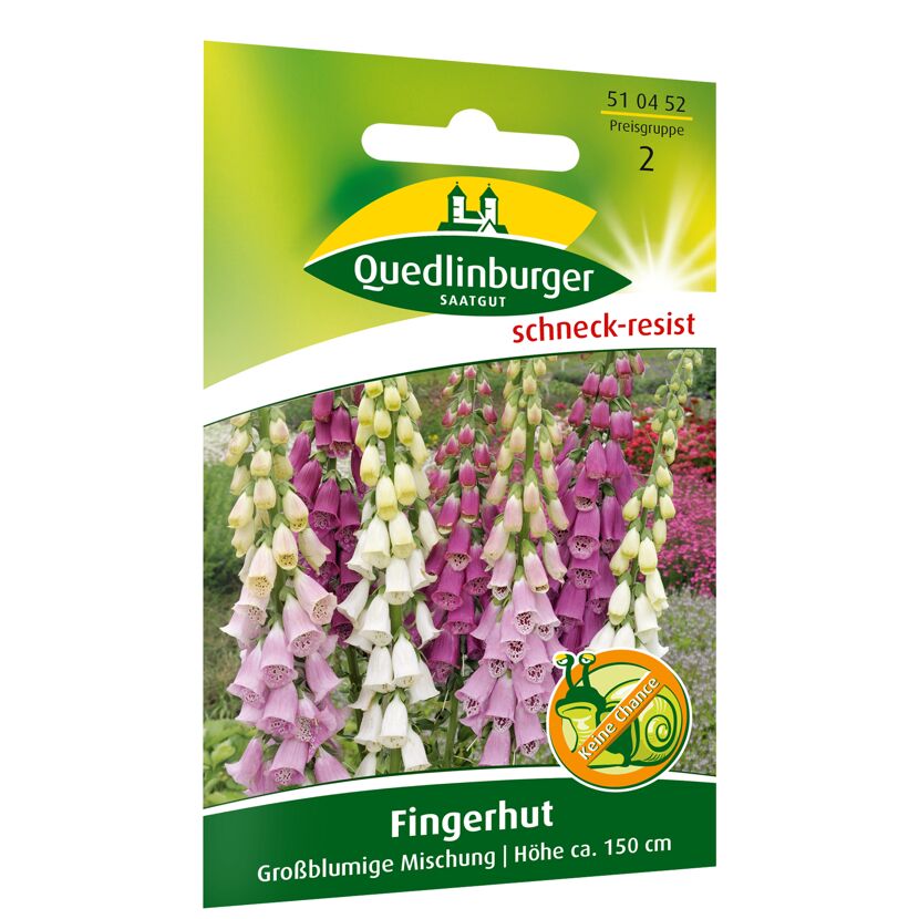 Fingerhut großblumig