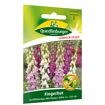 hauptbild