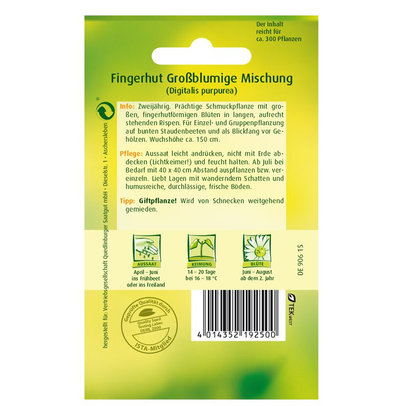 Fingerhut großblumig