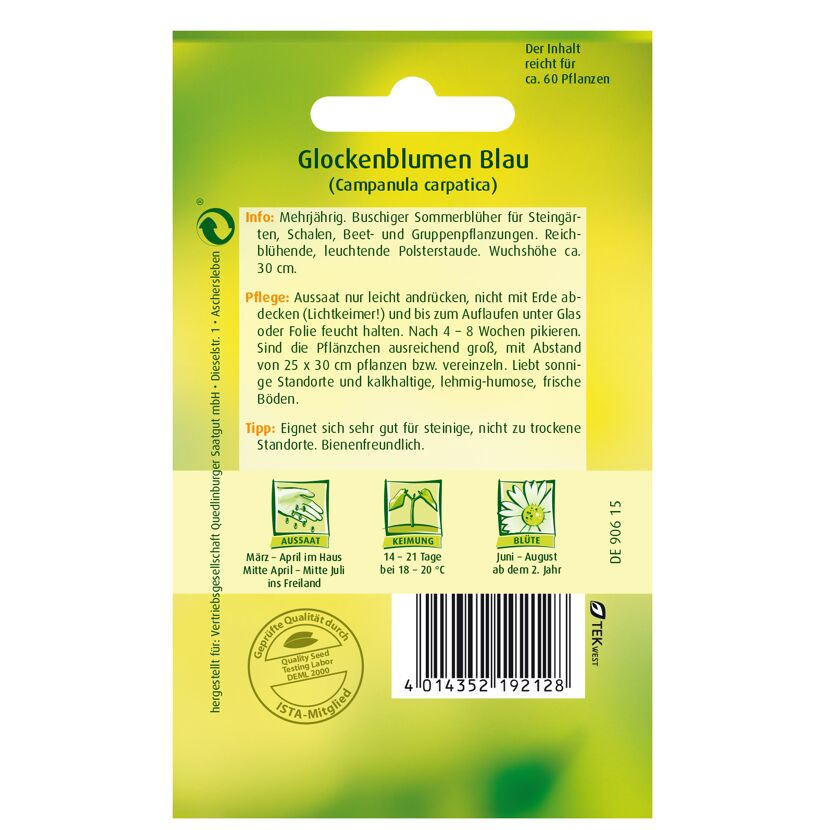 Glockenblumen blau