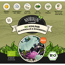 Naturtalent by toom® Bio-Kohlrabi blauknollig