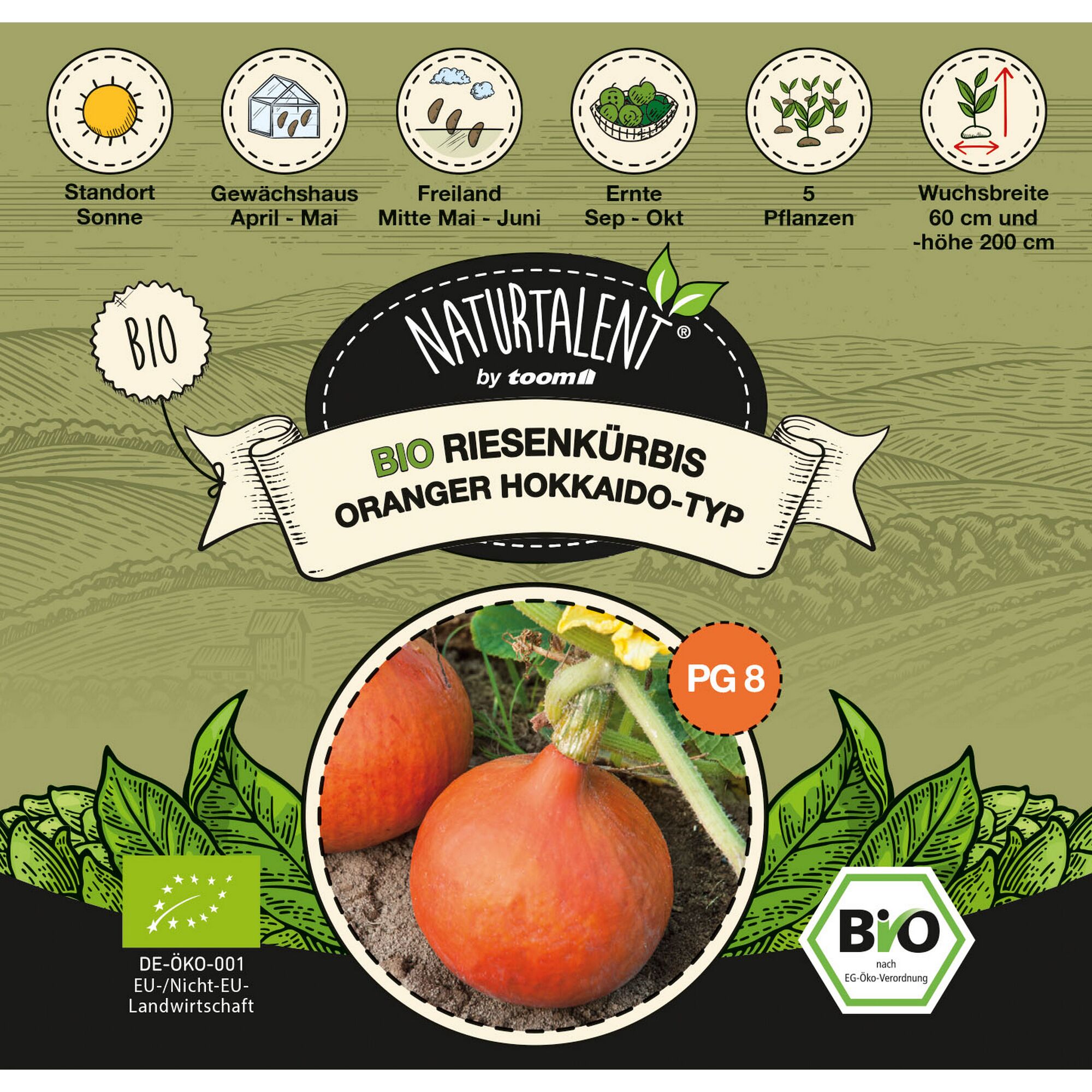 Bio Riesenkürbis Oranger Hokkaido-Typ