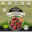 Naturtalent by toom® Bio-Radieschen rot