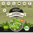 Naturtalent by toom® Bio-Kopfsalat