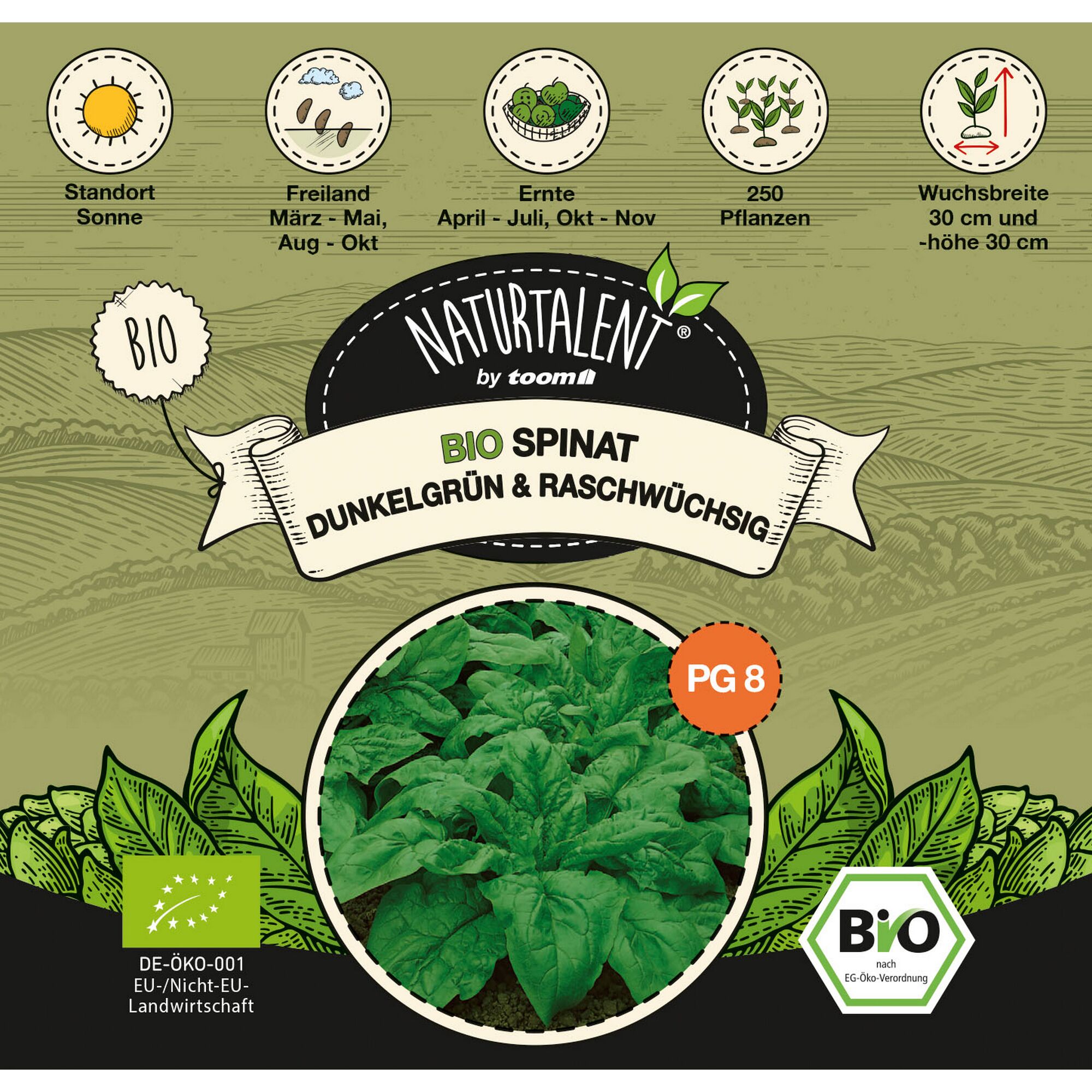 Bio Spinat Dunkelgrün, raschwüchsig