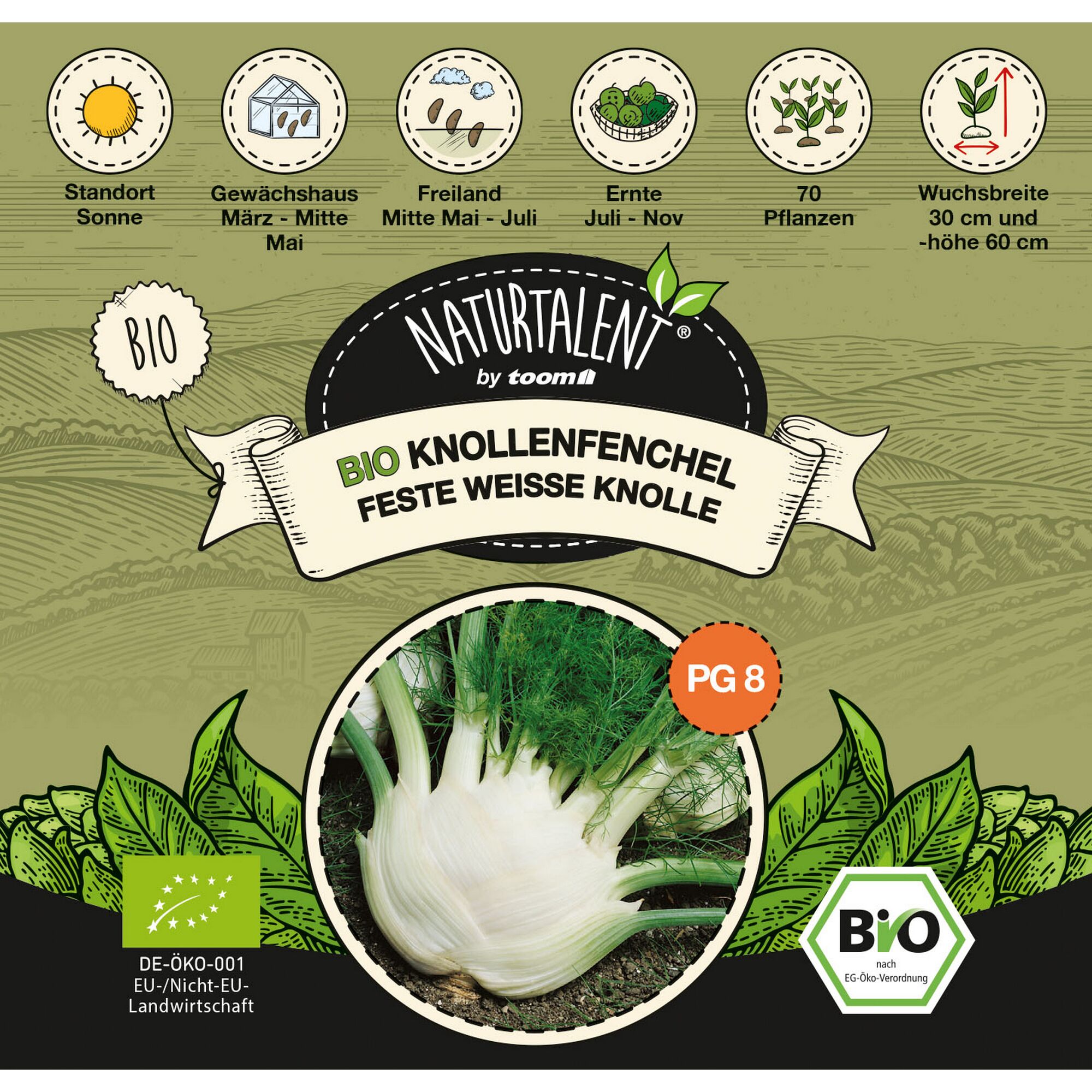 Bio Knollenfenchel Knolle