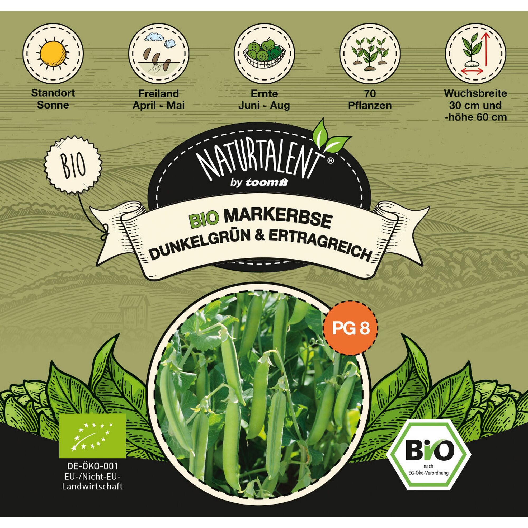 Bio Markerbse dunkelgrün, ertragreich