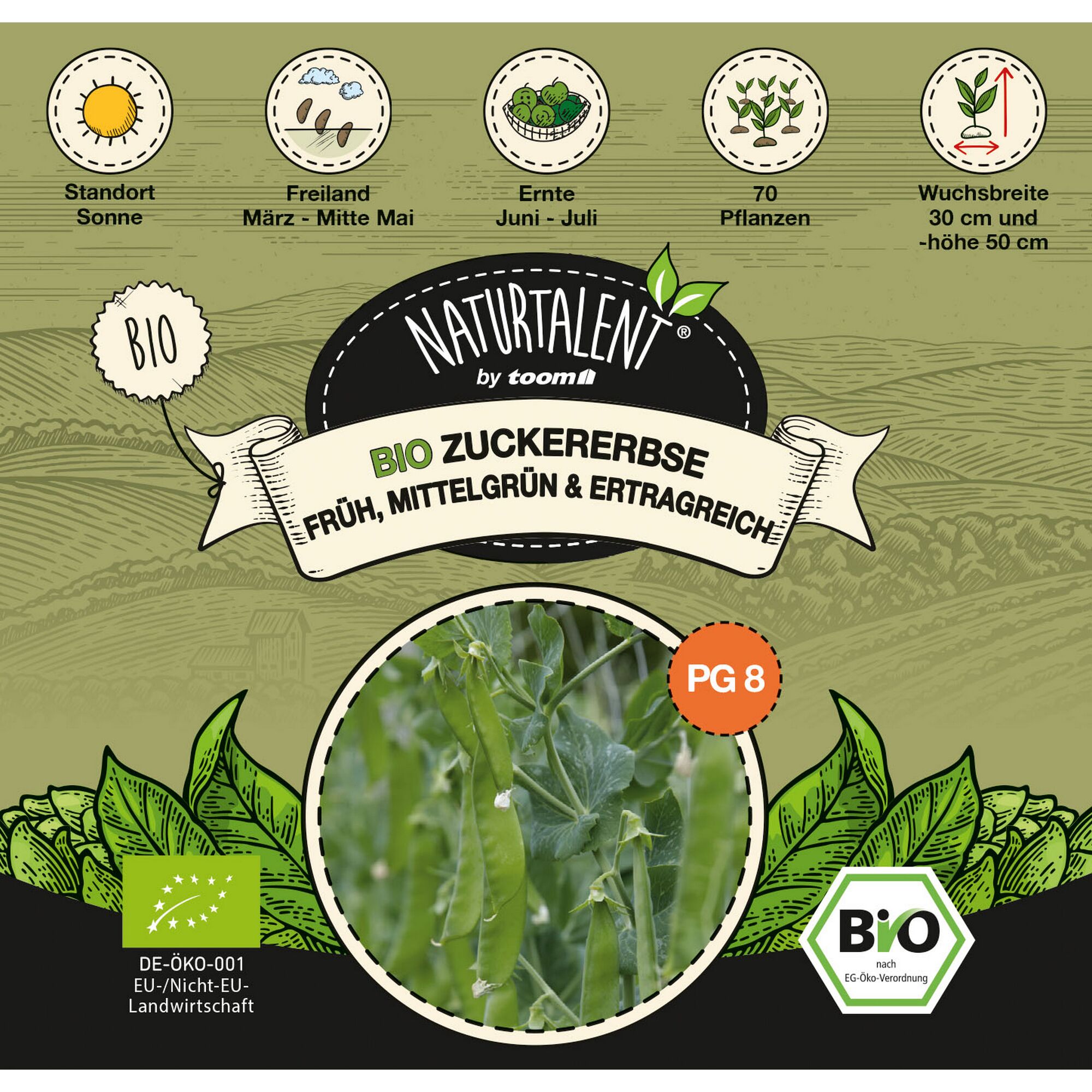 Bio Zuckererbse, früh, mittelgrün & ertragreich