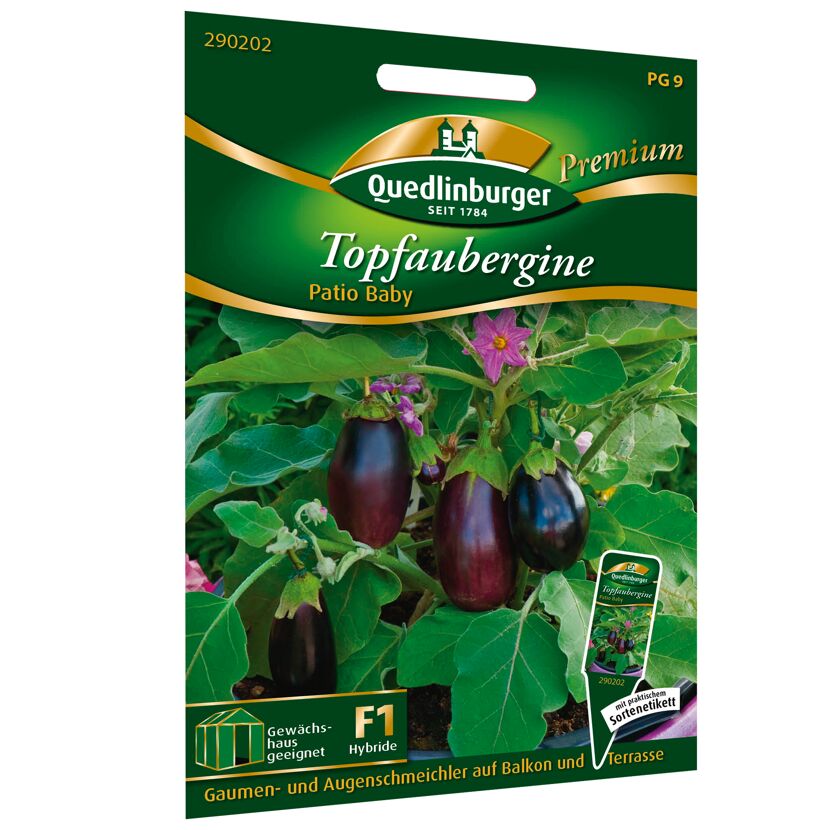 Quedlinburger Topfaubergine Patio Baby