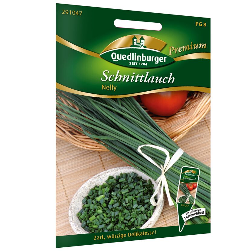 Schnittlauch 'Nelly'